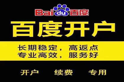 百度竞价代理的预算管理与效果评估案例